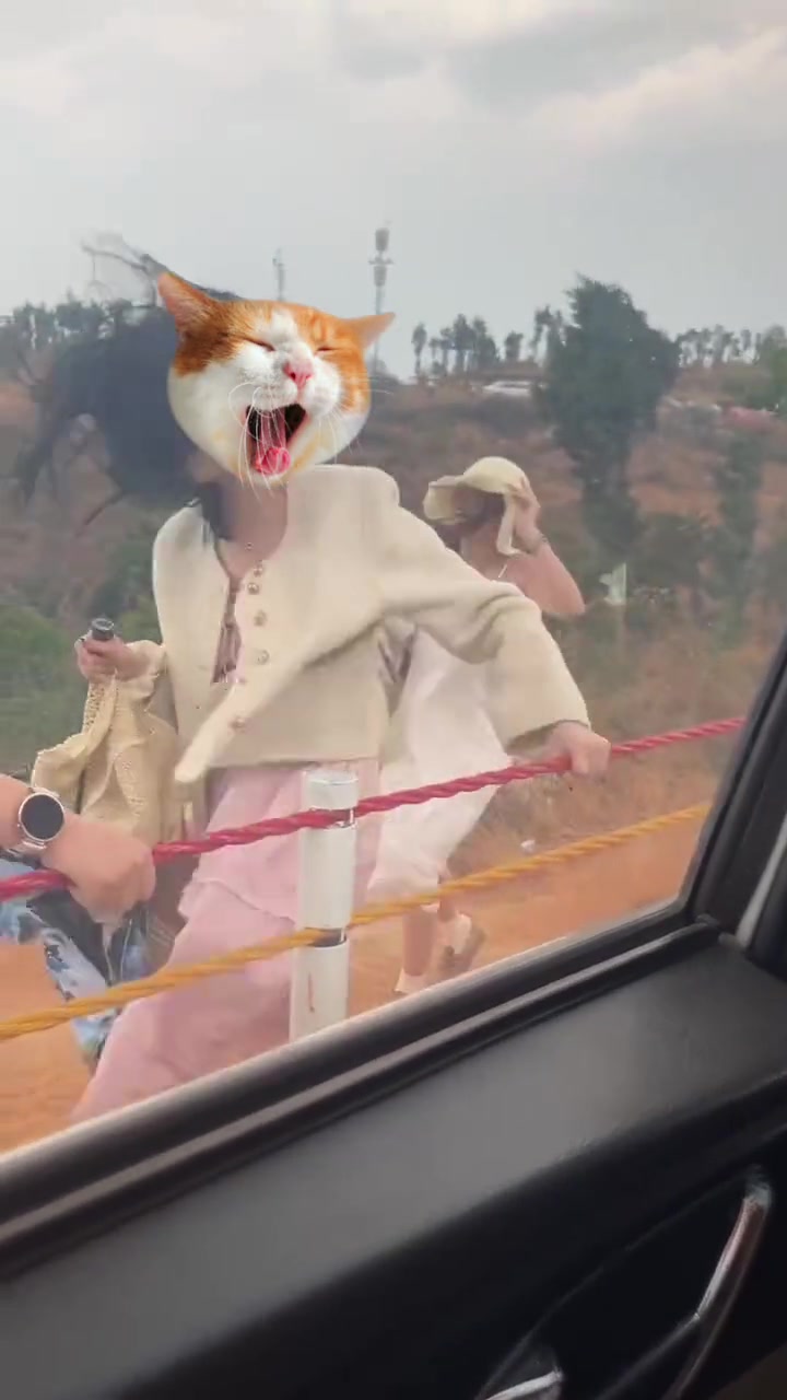 这妖风！小姐姐衣服都快被吹没了啊！