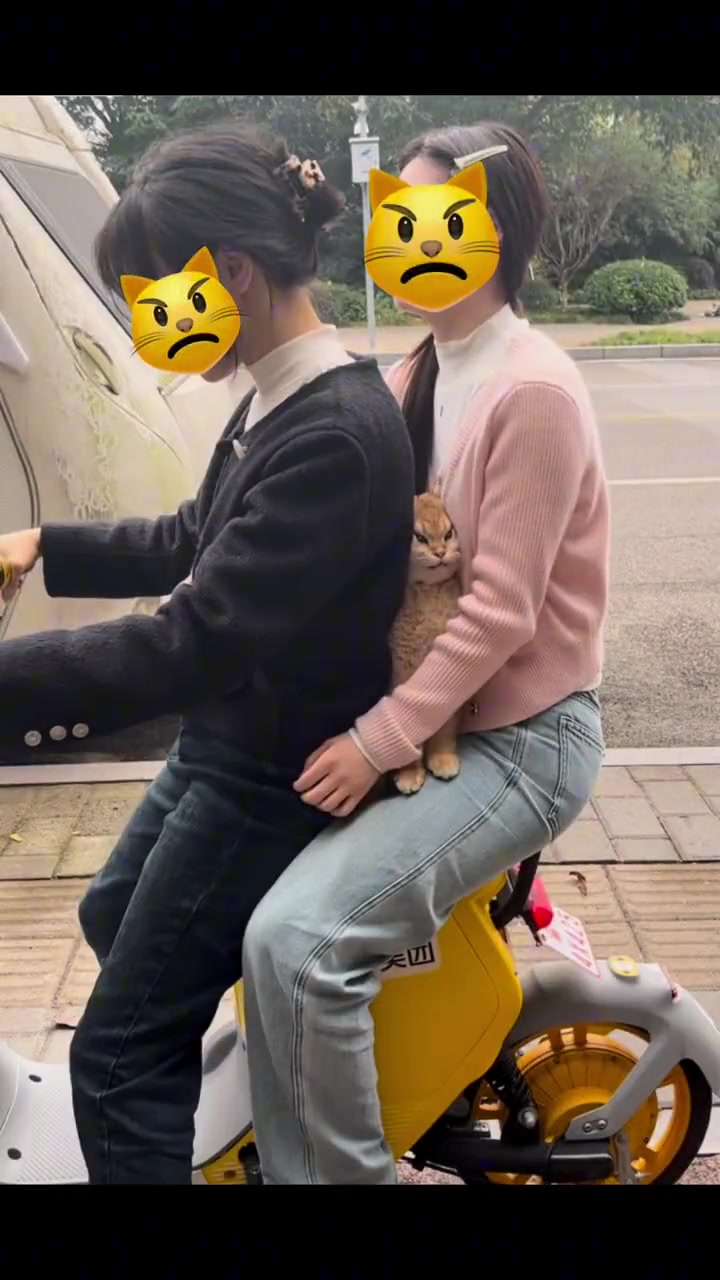你要是被绑架了你就喵一声