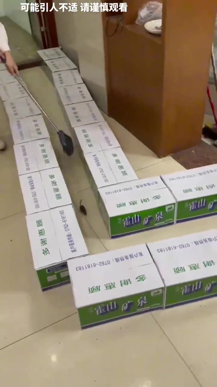 老鼠：鼠道也不难啊，这么顺