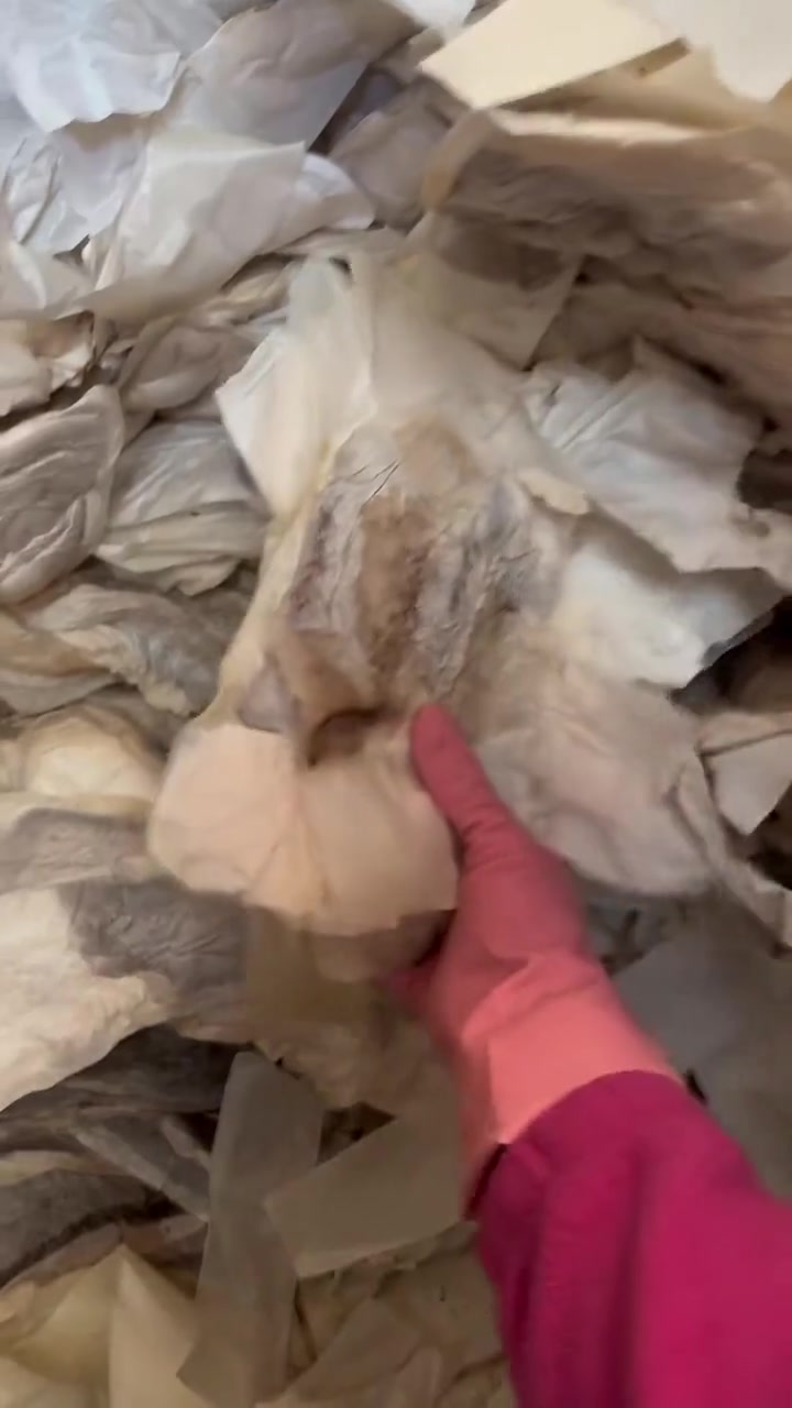 这地方屎壳郎来了都得吐