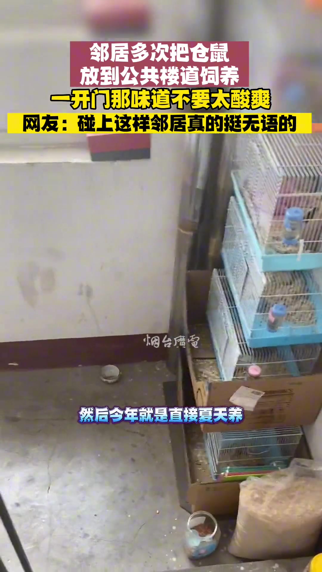 吧友们来评价一下碰到这种邻居应该怎么办？