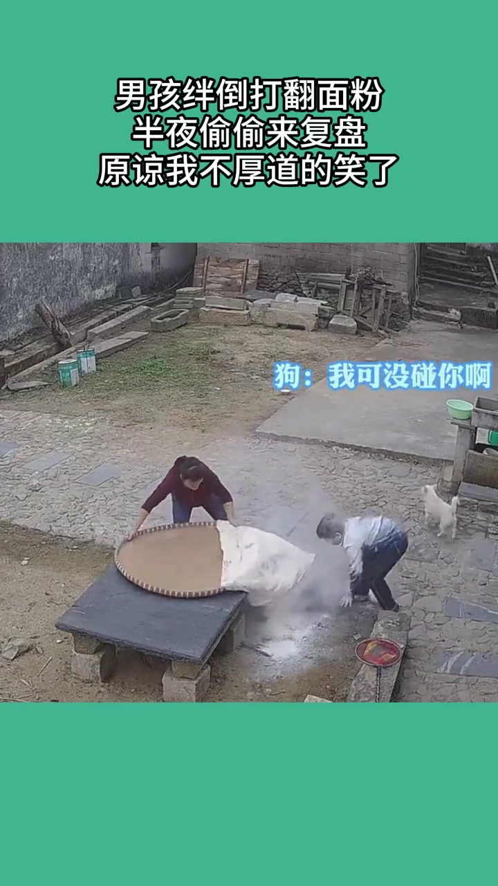 狗子也在指导复盘！