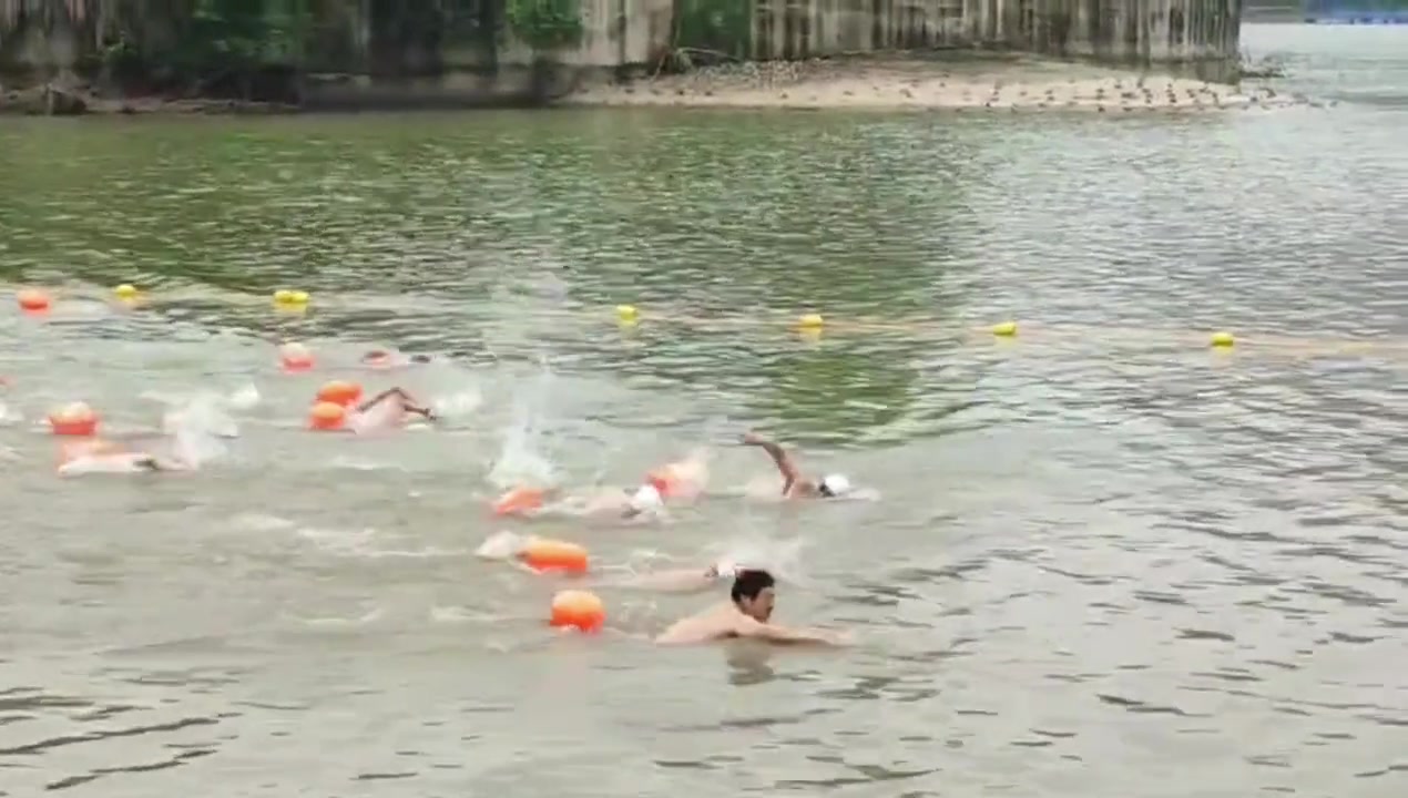 大哥你这漫不经心的抬头游泳，有点东西啊