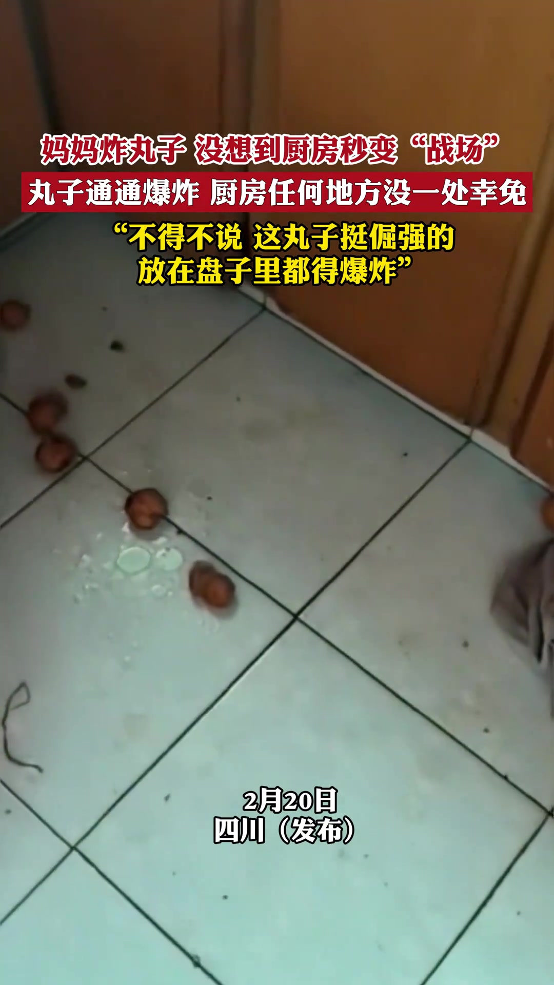 这丸子还挺倔强的