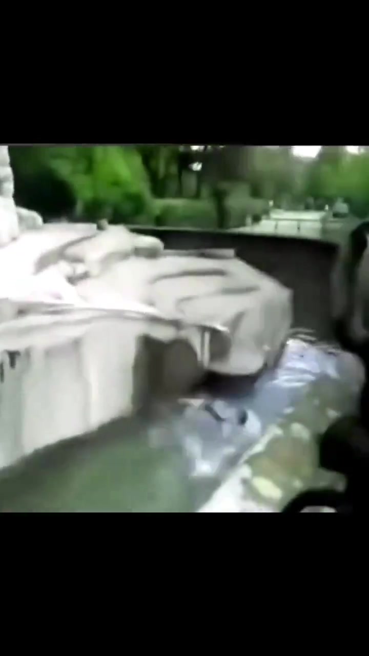 震惊！热心黑熊好心救落水人员 却惨遭毒打！