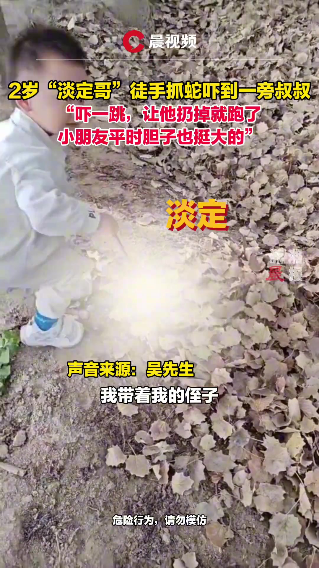 2岁“淡定哥”徒手抓蛇吓到一旁叔叔