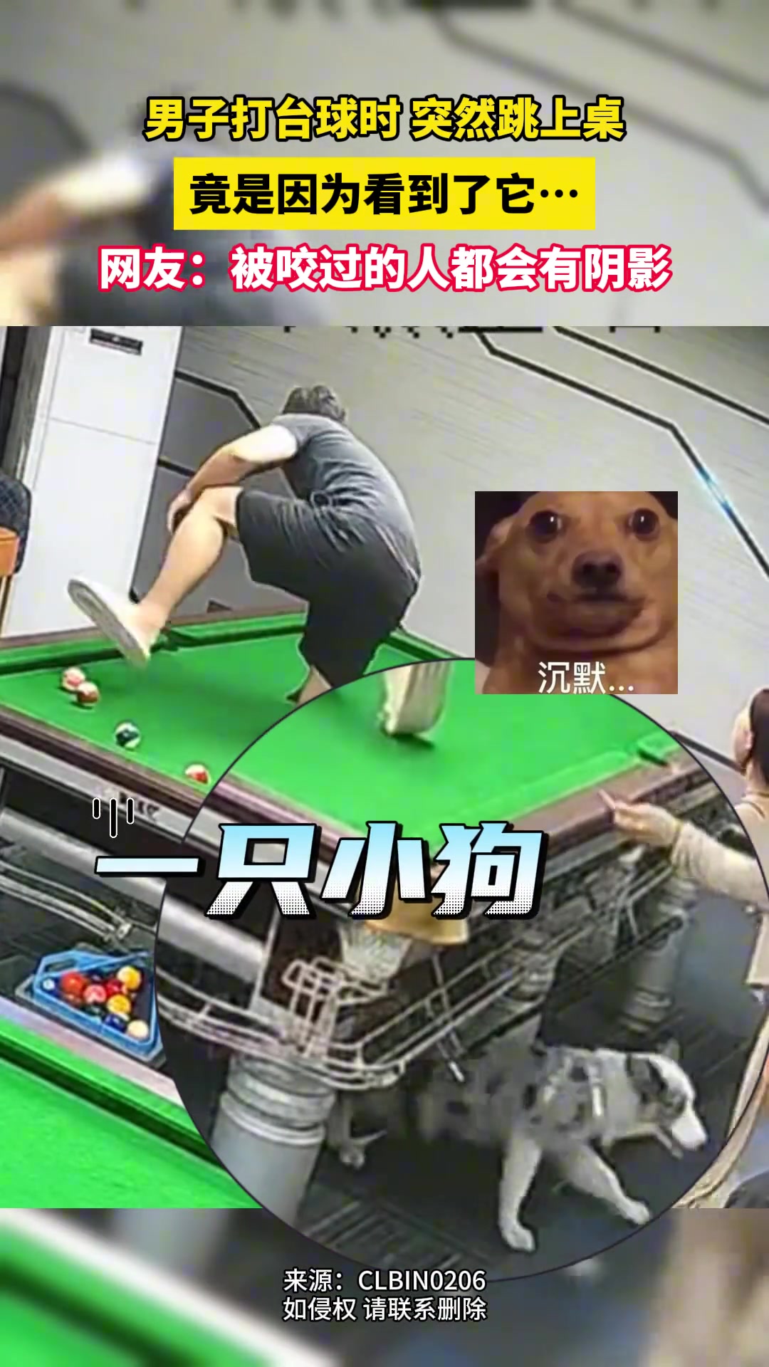 男子打台球时 突然跳上桌，竟是因为看到了它...