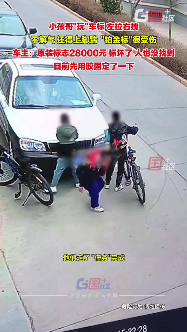 小孩哥“玩”车标，左拉右拽上脚踹， “铂金标”很受伤