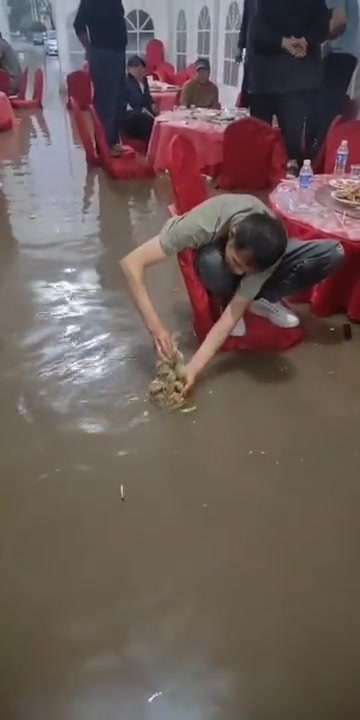 鱼本来就在水里 没啥奇怪的