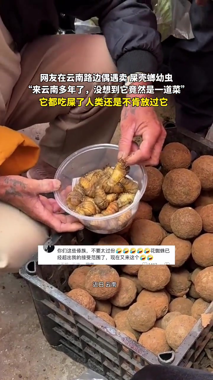 它都吃屎了，人类都不肯放过它