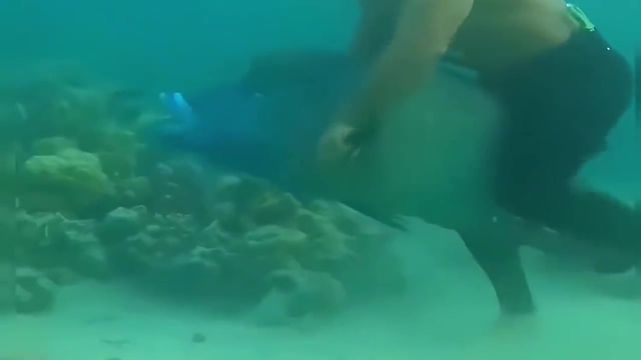 冒昧的家伙你真的很冒昧