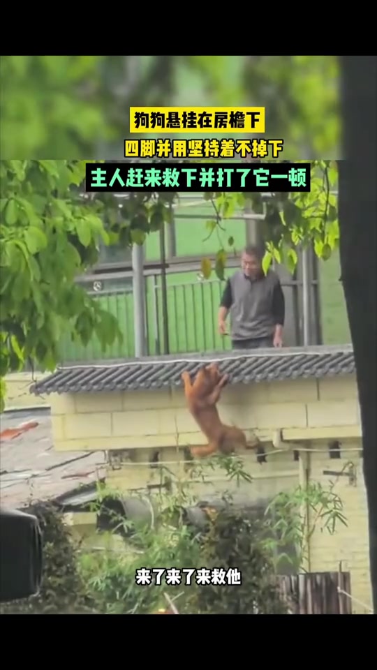 救上来还要打一顿