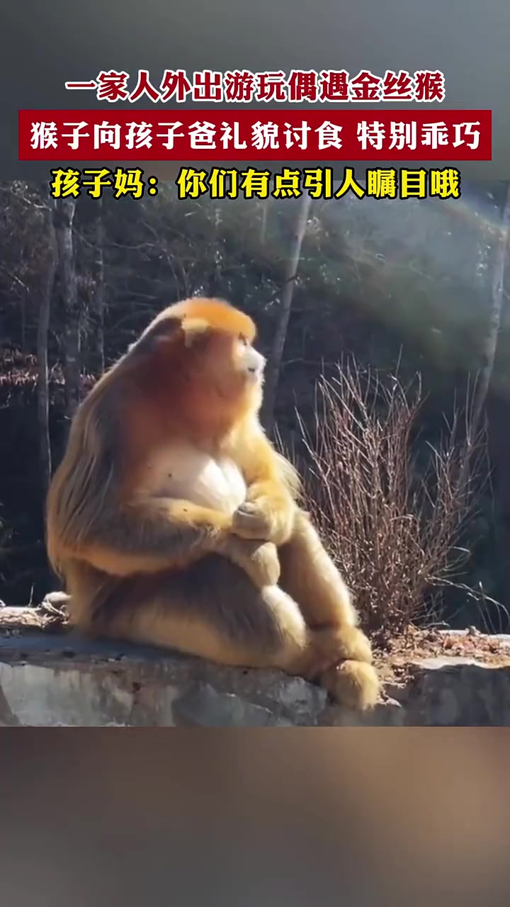 孩子妈：要不你们仨一起过吧