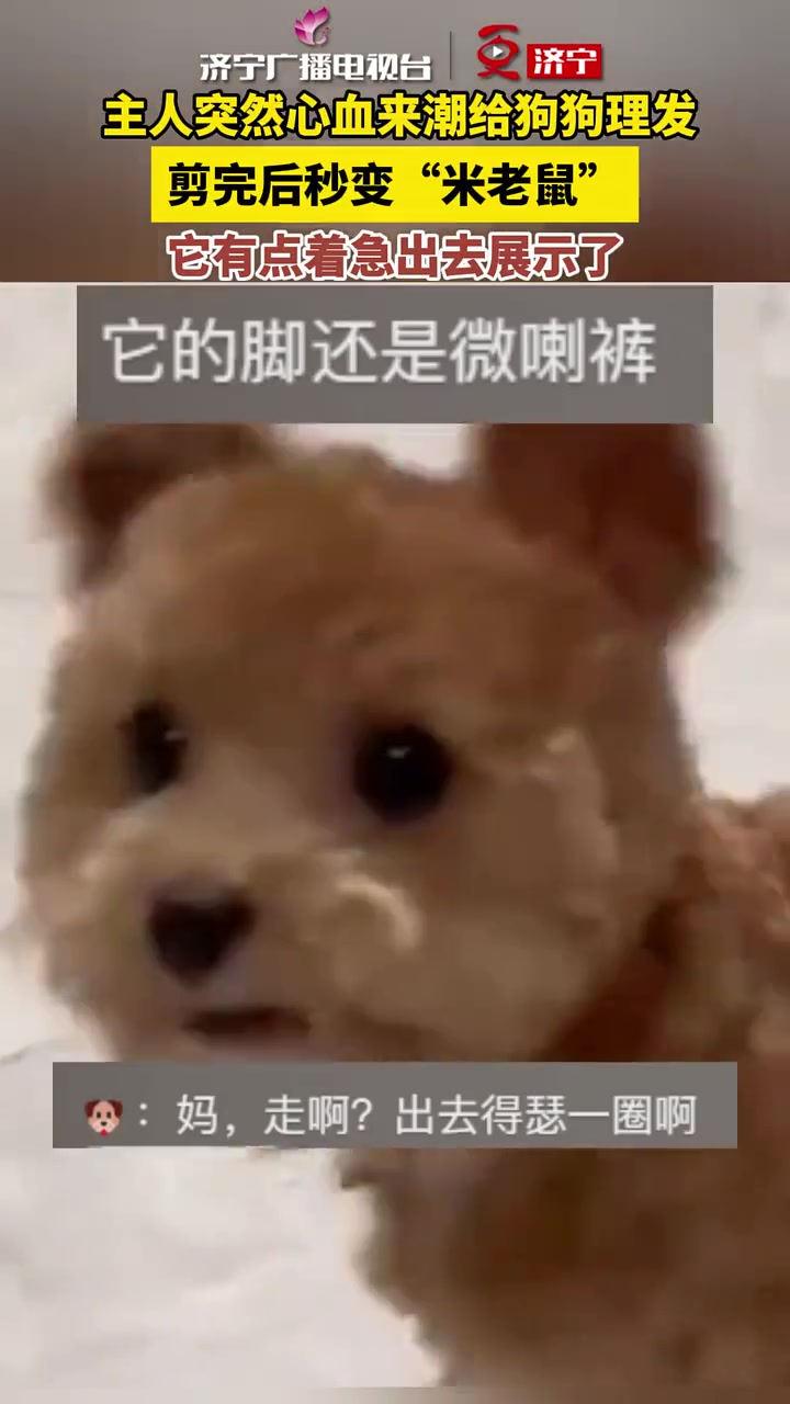 哦，这是小熊吗～