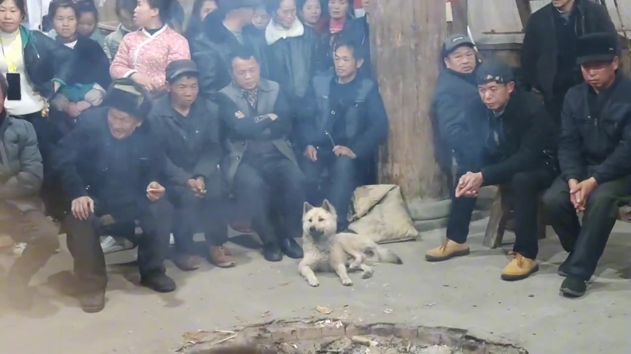 这狗是半个村子的长辈