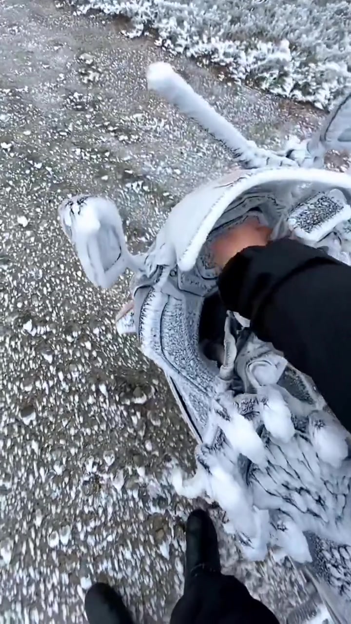 铃木-冰雪节限定