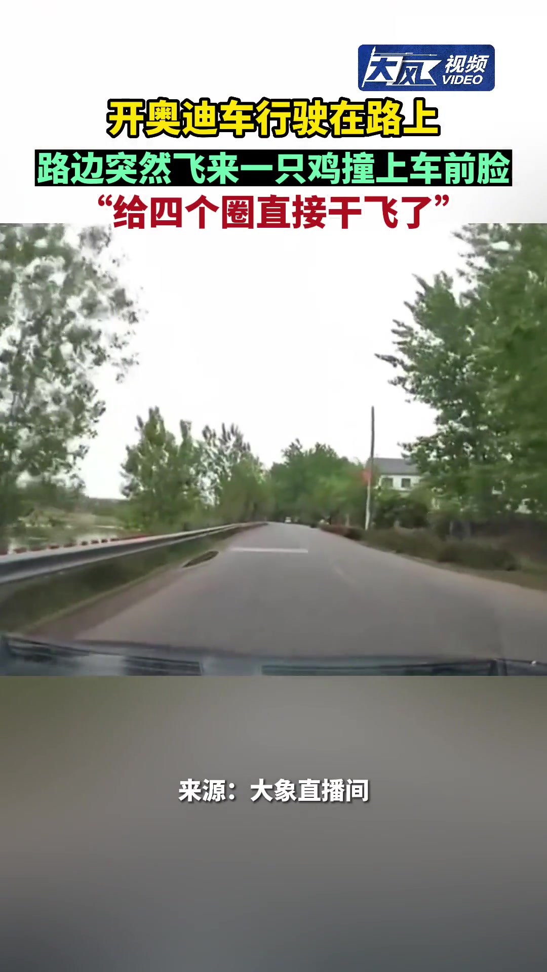 奥迪行驶途中撞上飞来的鸡 4个圈直接干飞了