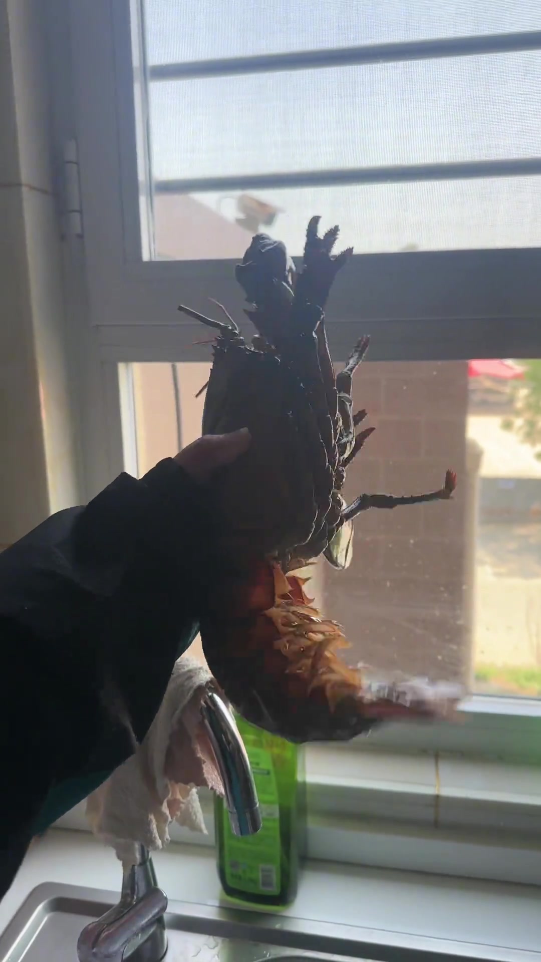 她这手还不如人家钳子的一根