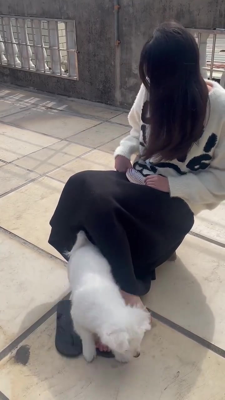 接着拍呀，我不差后面那点流量！