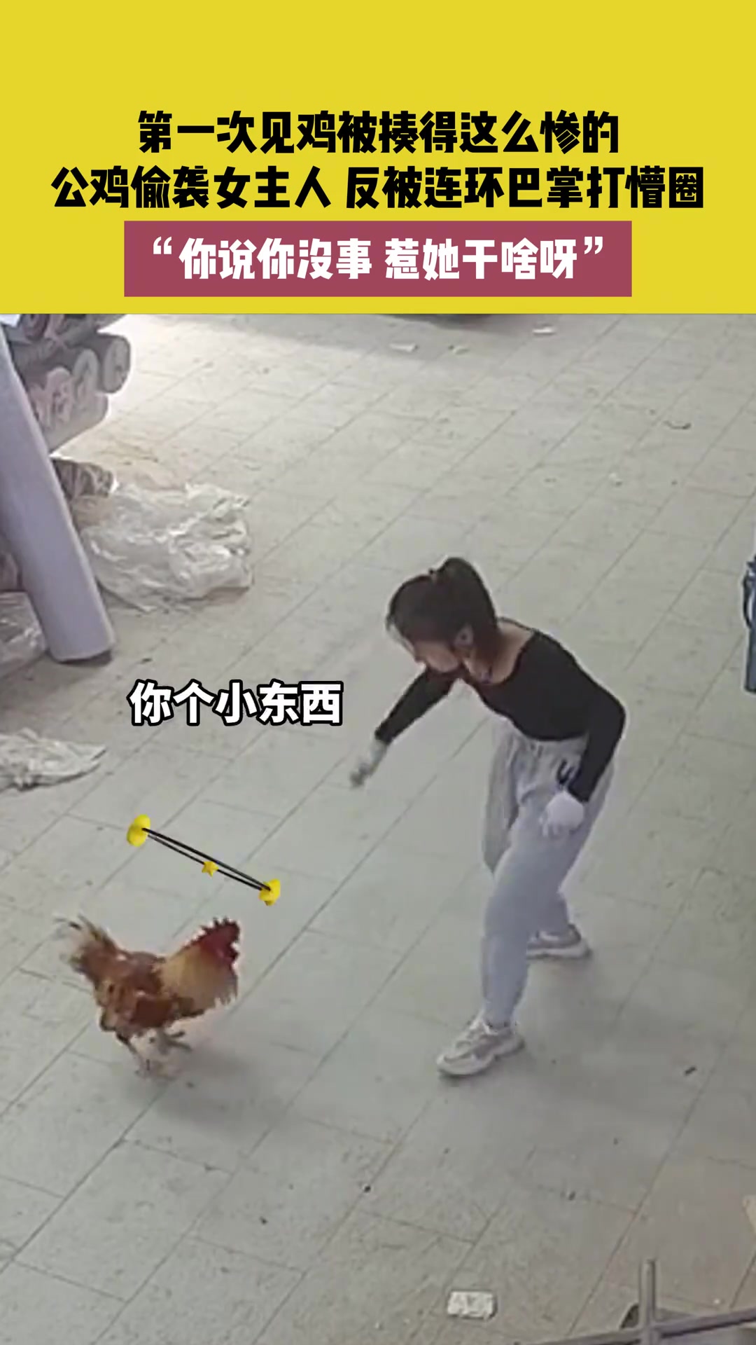 第一次见鸡被揍得这么惨的 被连环巴掌打懵圈