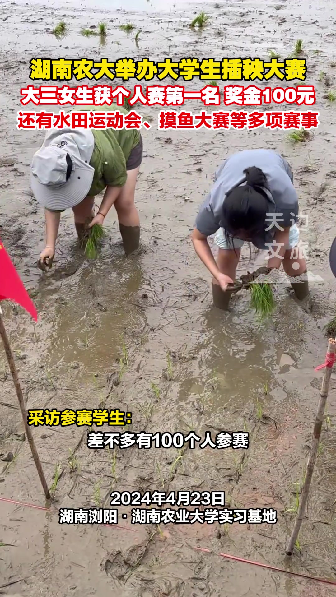 这个我可以！种地吧少年~