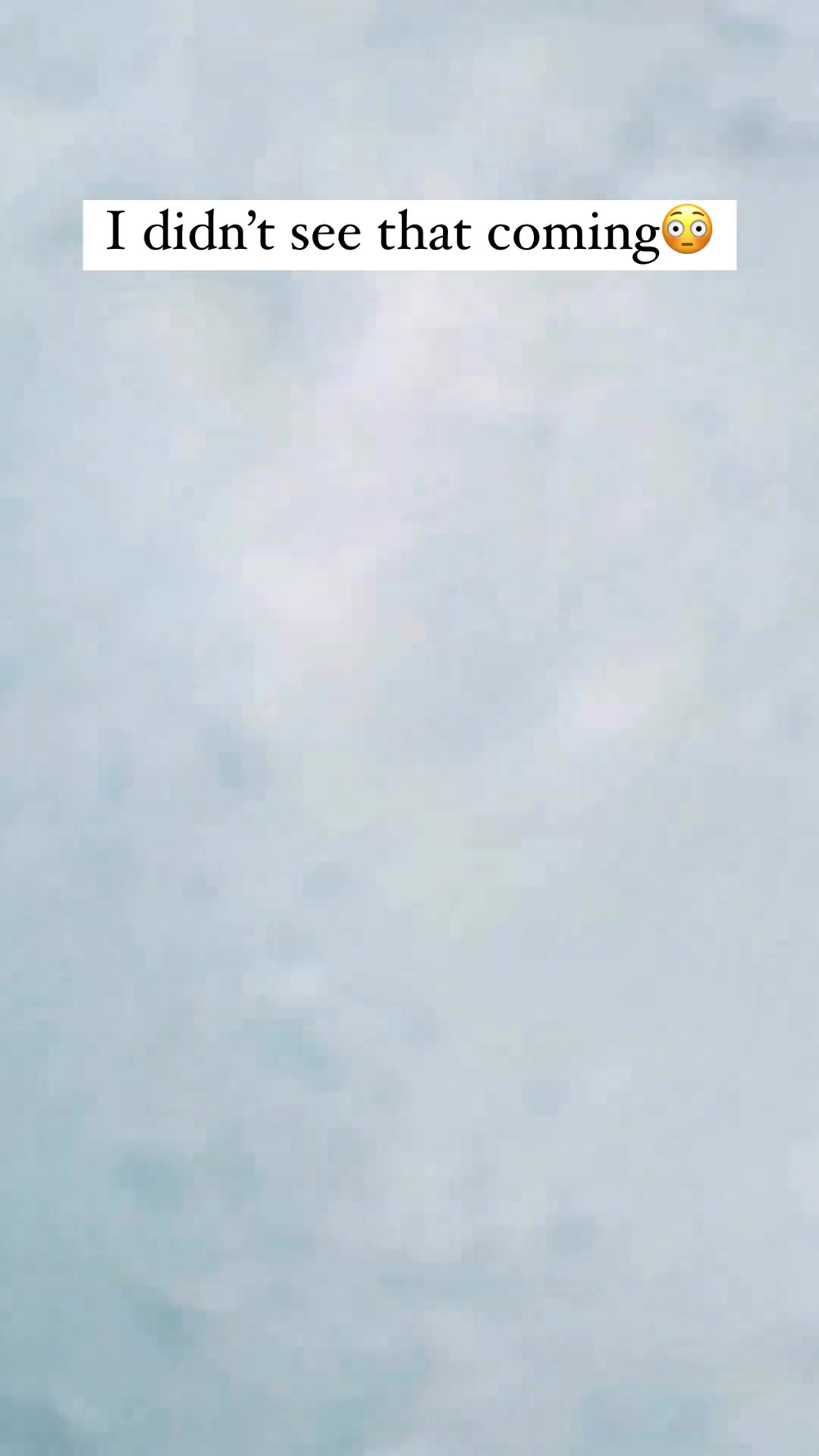 说出来你可能不信，我被鲸鱼打了