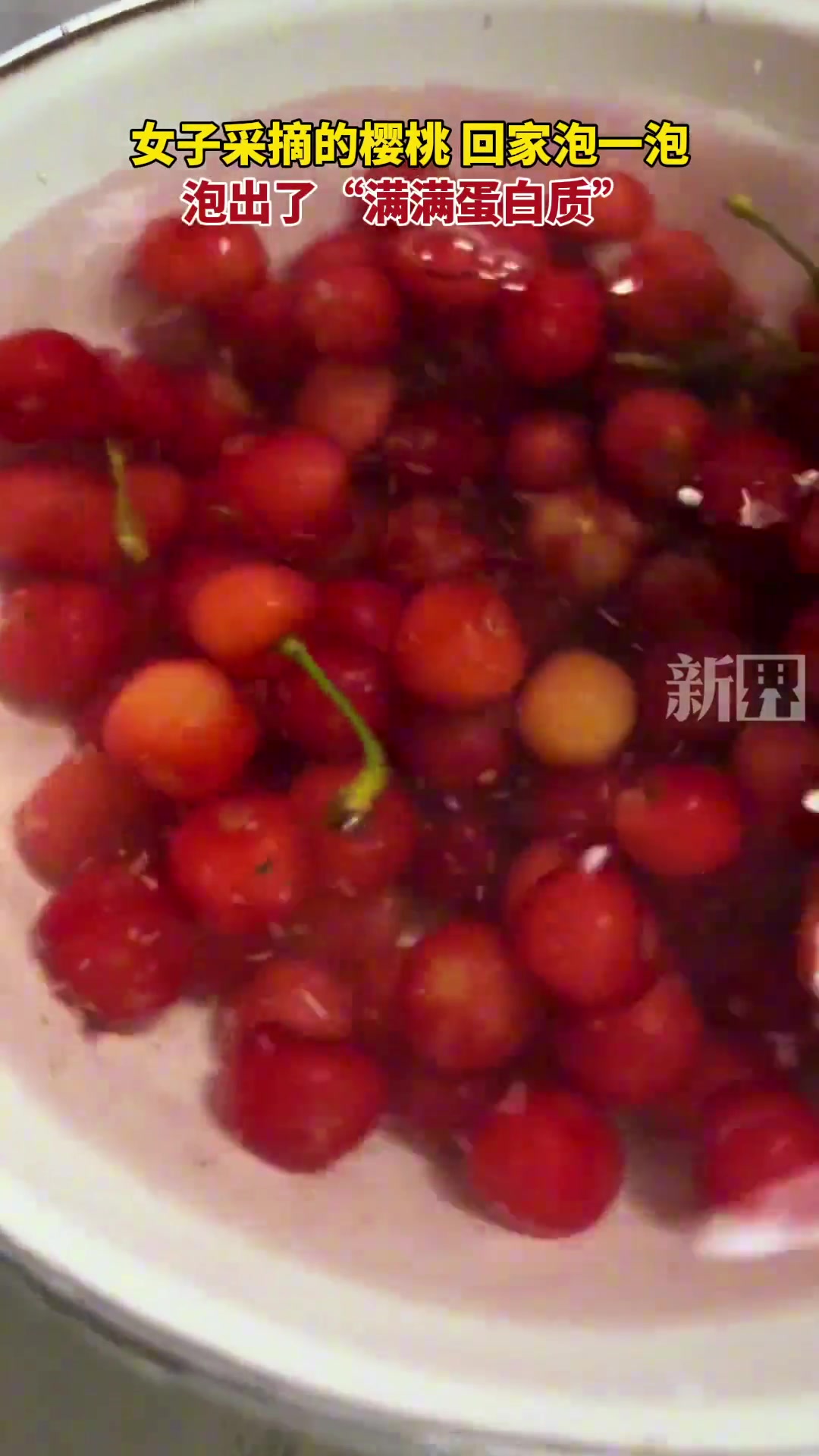 女子采摘的樱桃回家泡一泡，泡出了“满满蛋白质”
