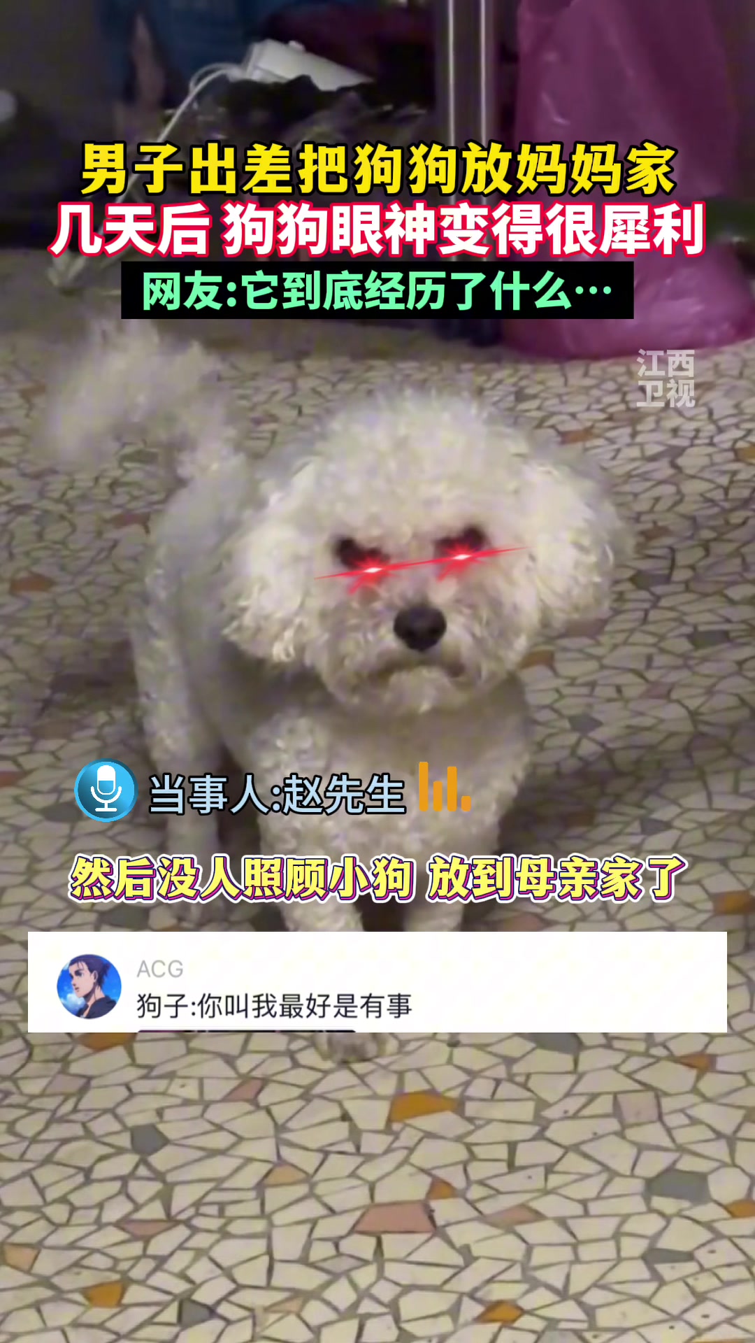 电眼逼人！