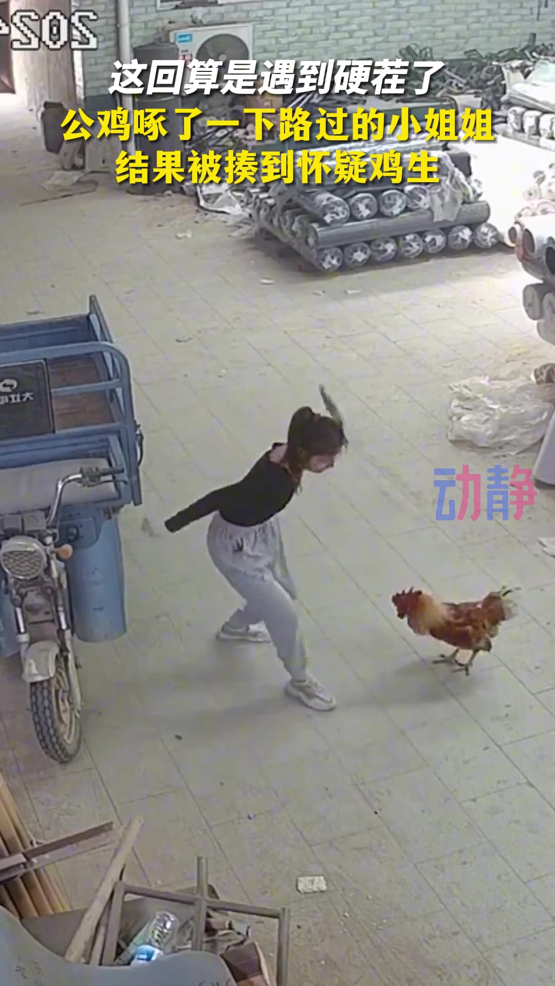鸡：我错了，我真的错了！