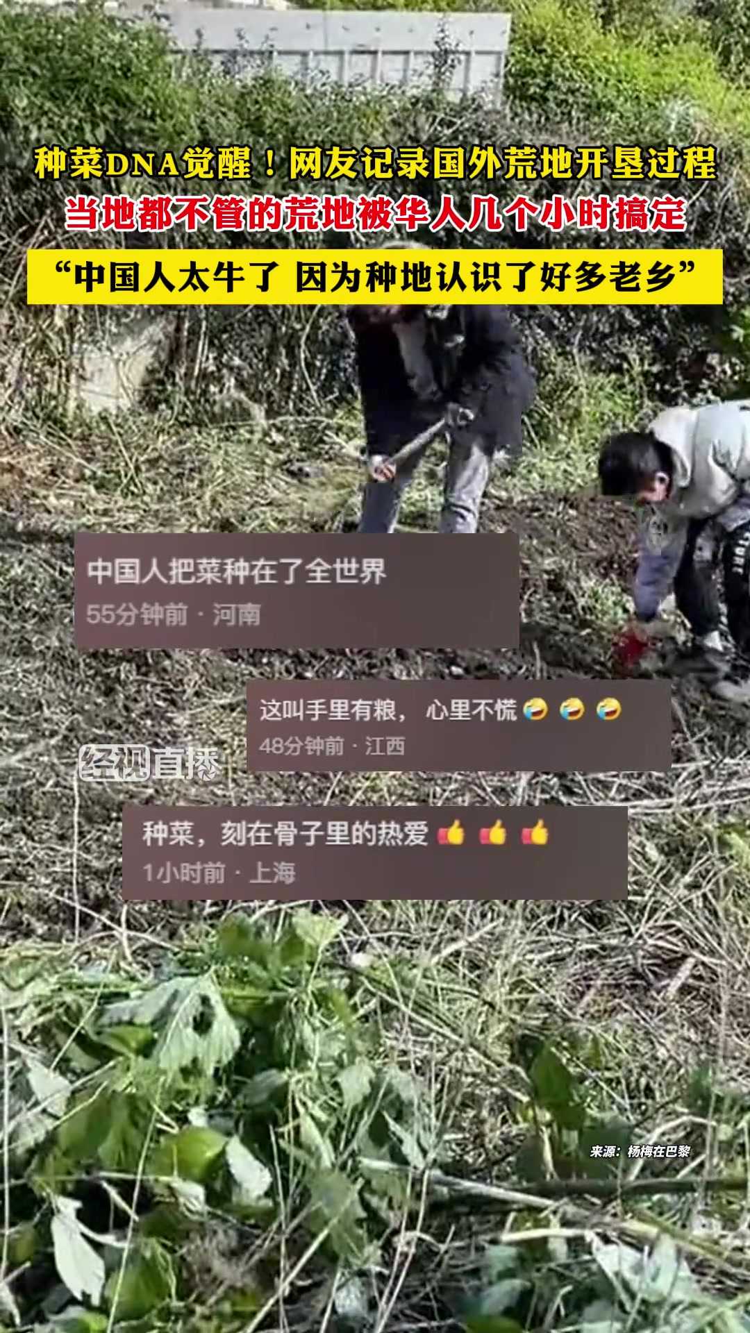 网友记录国外荒地开垦过程