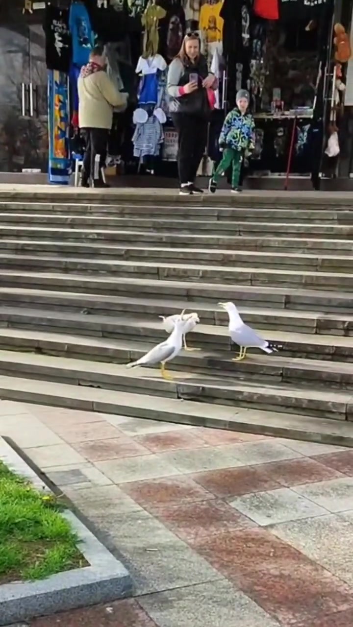 他们三在密谋什么 为何笑得如此开心