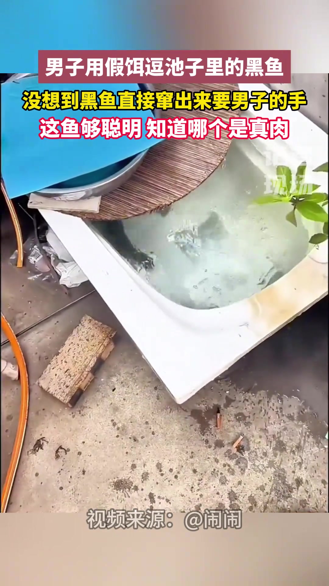 不懂就问 被黑鱼咬了需要打“狂犬疫苗”吗？