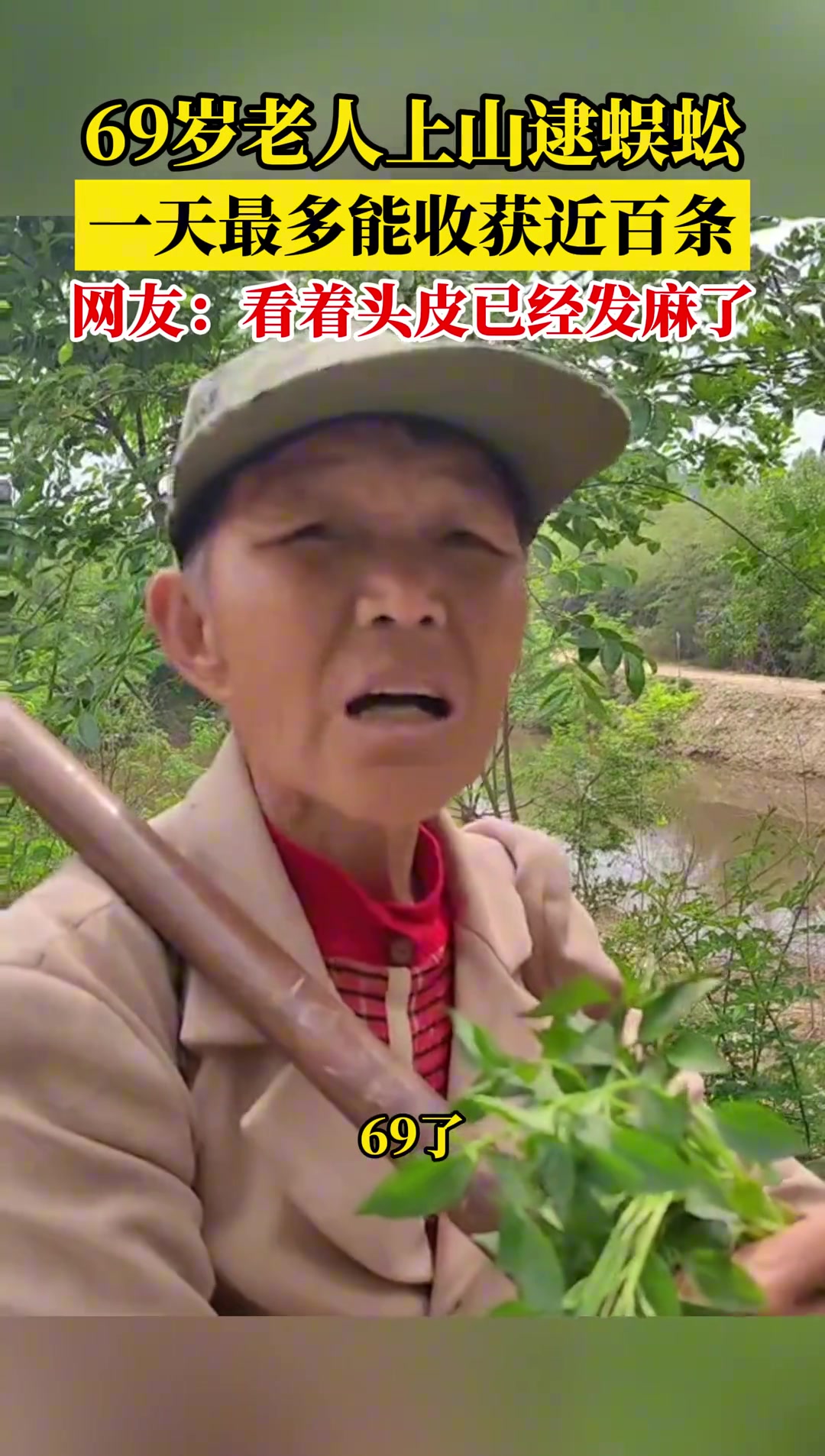 69岁老人上山逮蜈蚣收获近百条 看得我头皮发麻