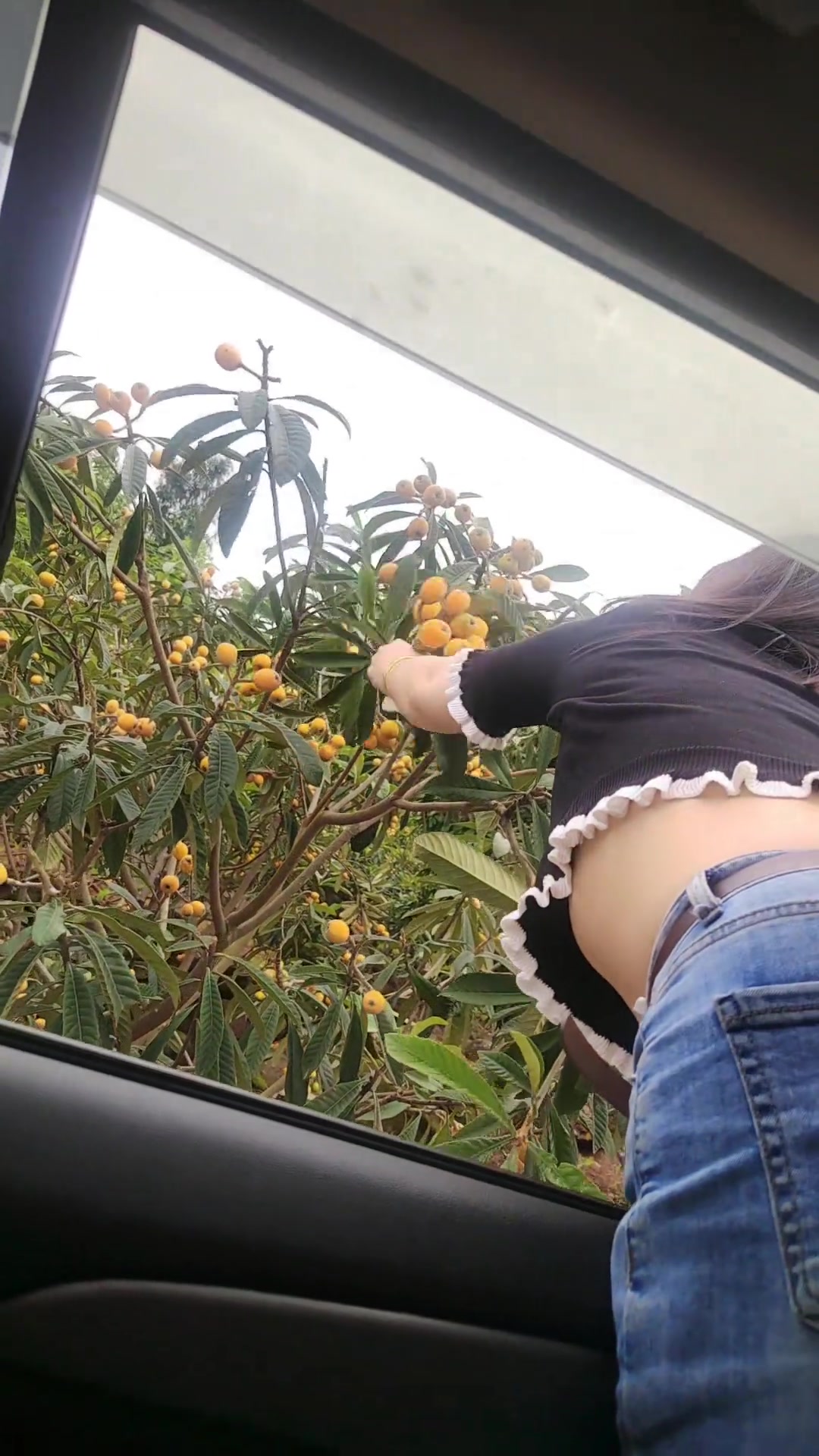 闺蜜路过为了偷摘橘子，可算是拼了老命了啊！