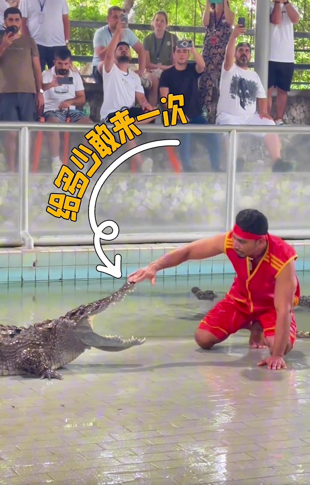 吧友们觉得给你多少钱，你敢试一次？
