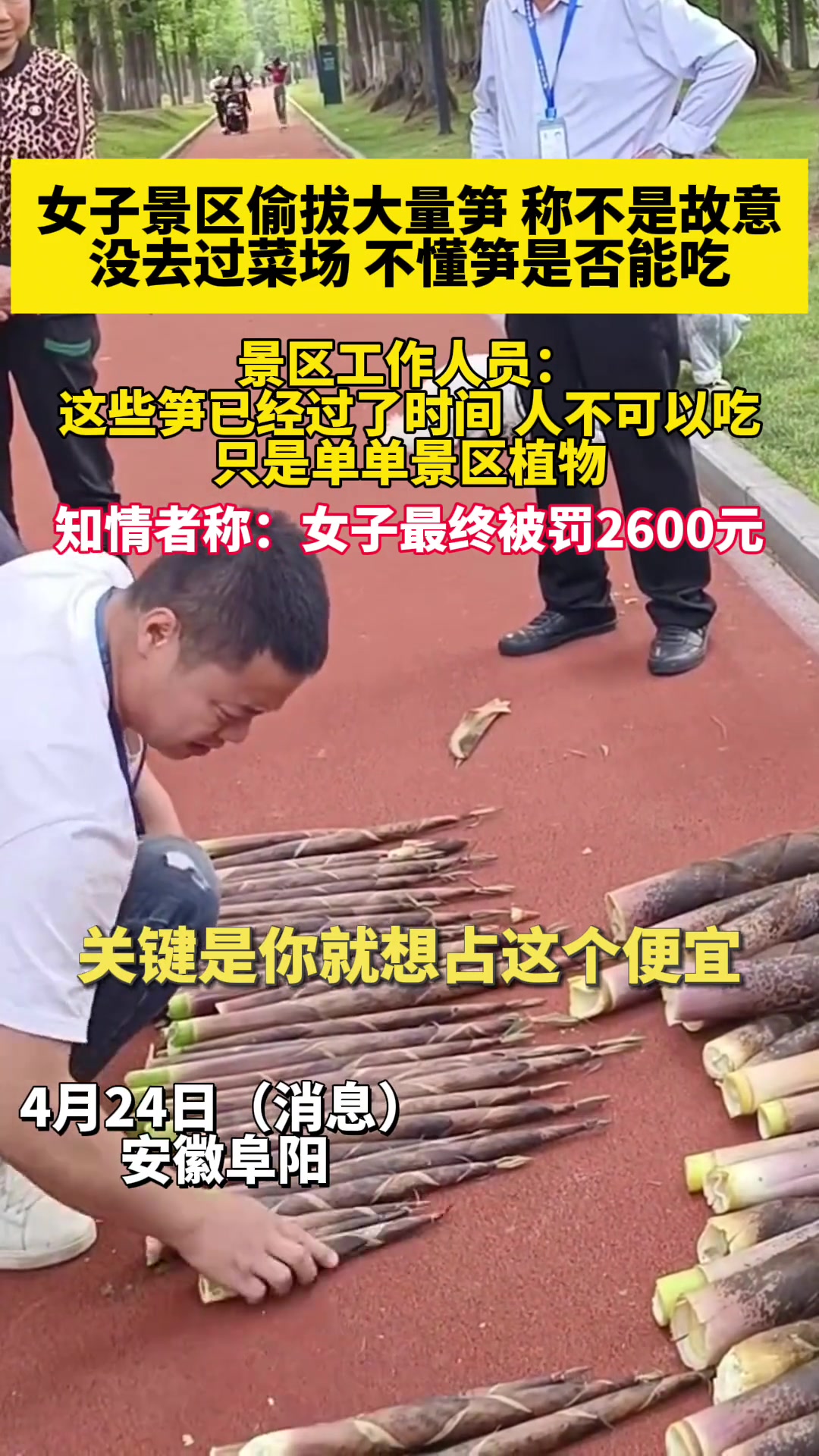 你要故意的。我公园就没了
