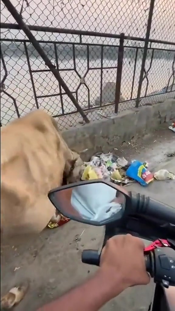 满地的垃圾，他还把垃圾袋装回兜里