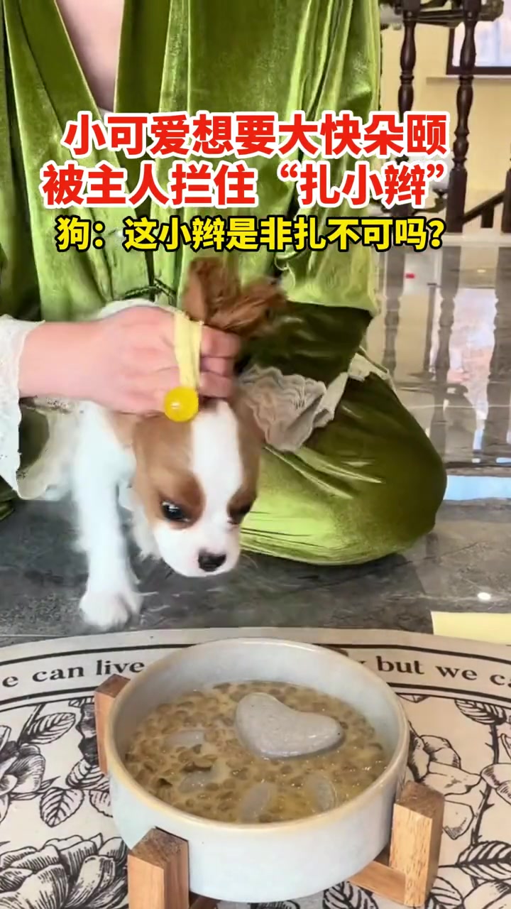 狗:今这饭不好吃，吃完头皮疼