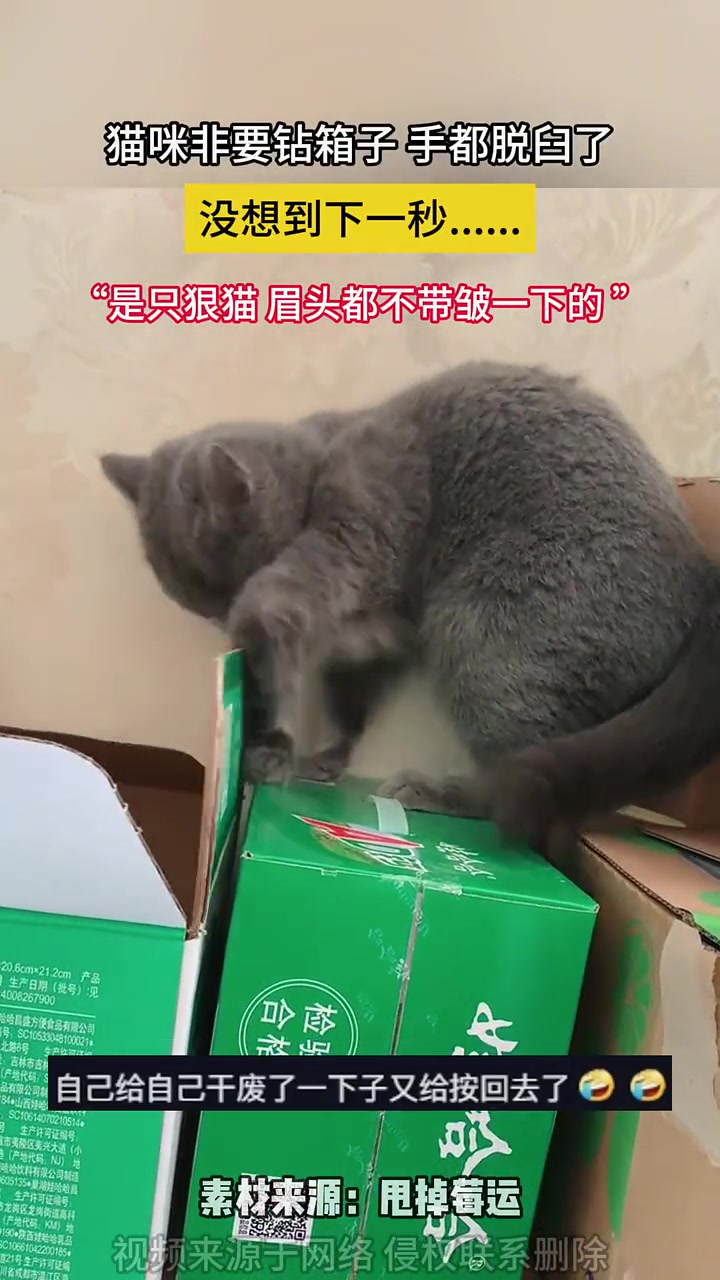 看起来是习惯性脱臼