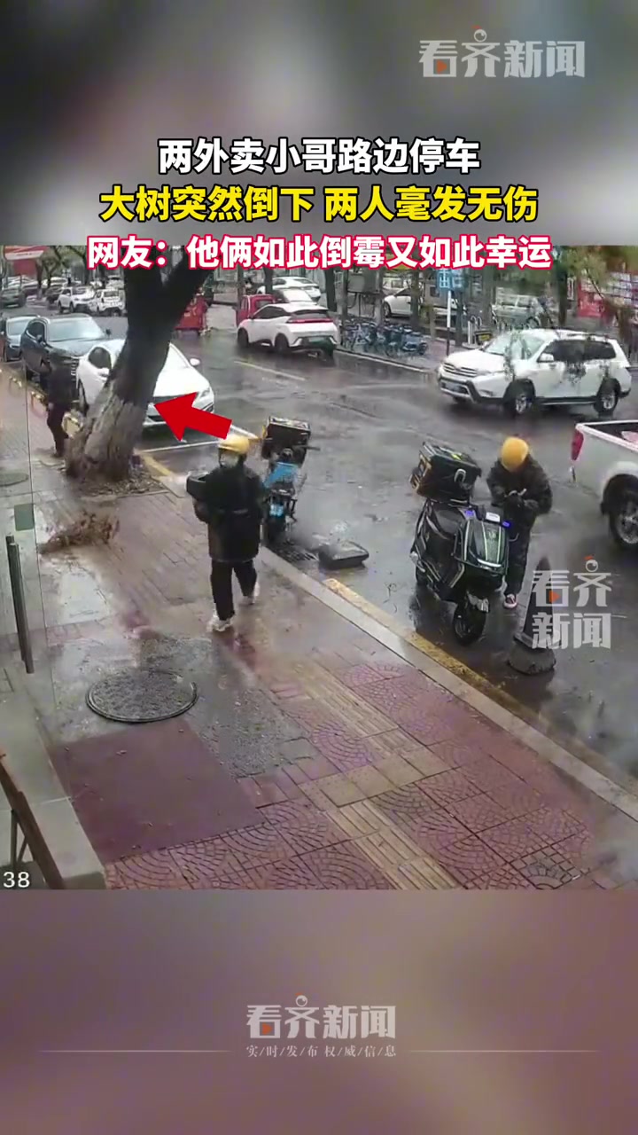 庆幸！两外卖小哥路边停车大树突然倒下两人毫发无伤