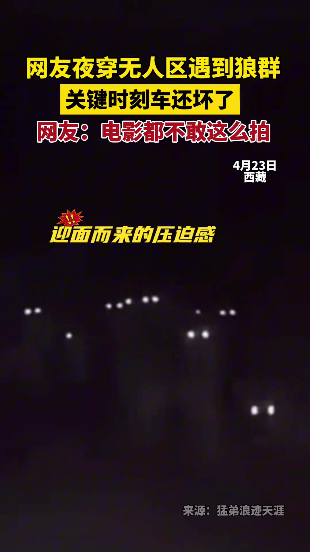 网友夜穿无人区遇到狼群，关键时刻车还坏了
