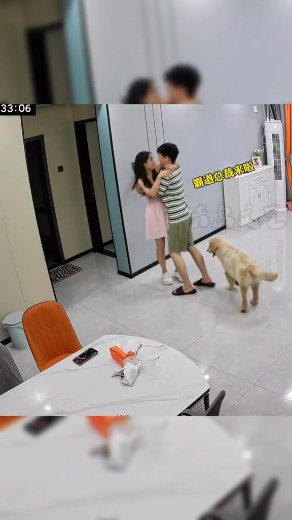 狗子：求求你们别再虐我了
