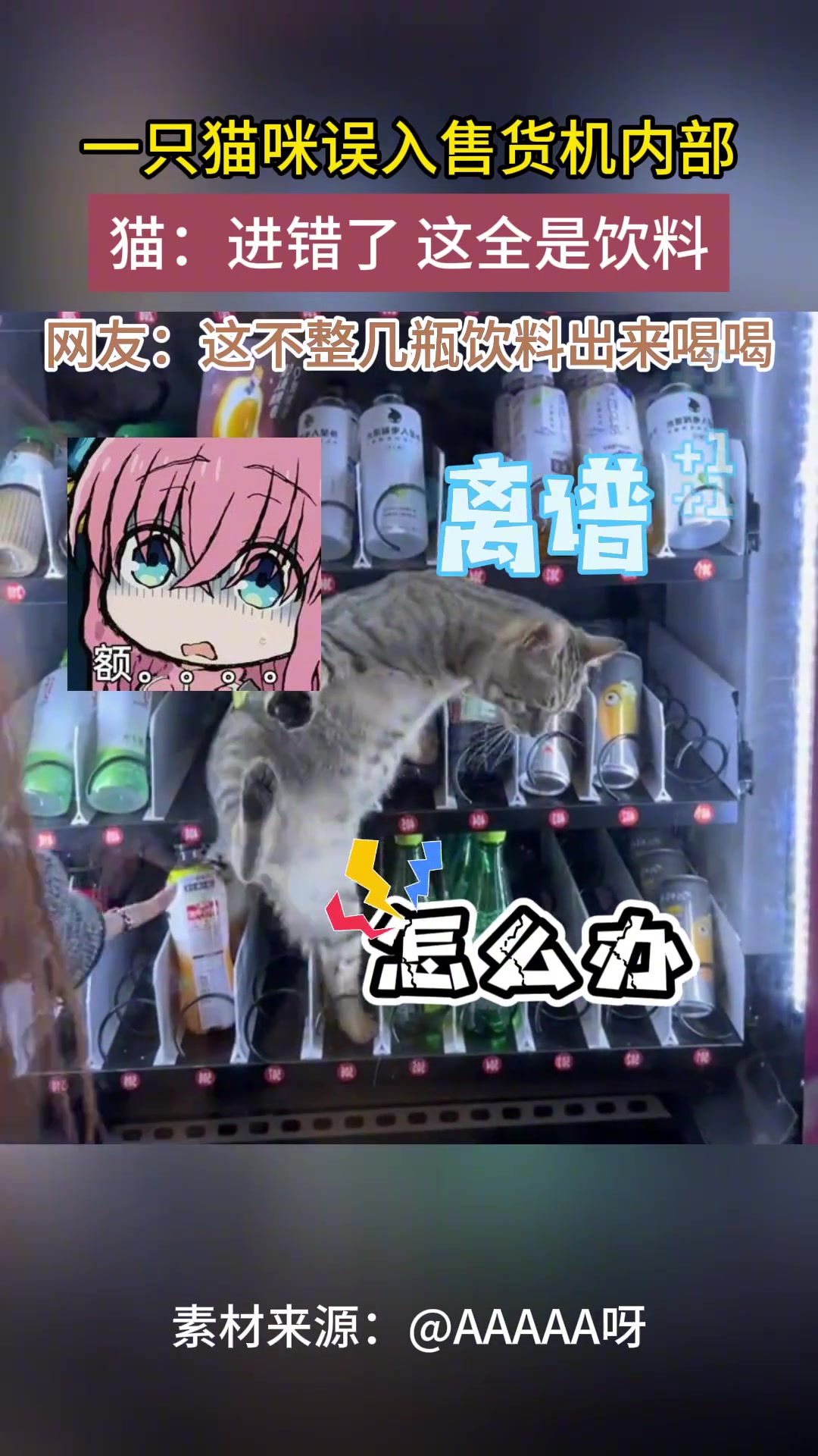 进去帮我拿两瓶再出来呀