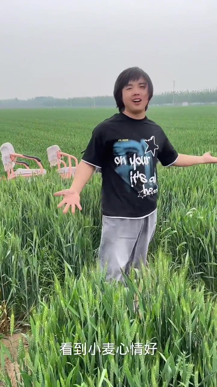 给人一种没有功劳也有苦劳的感觉