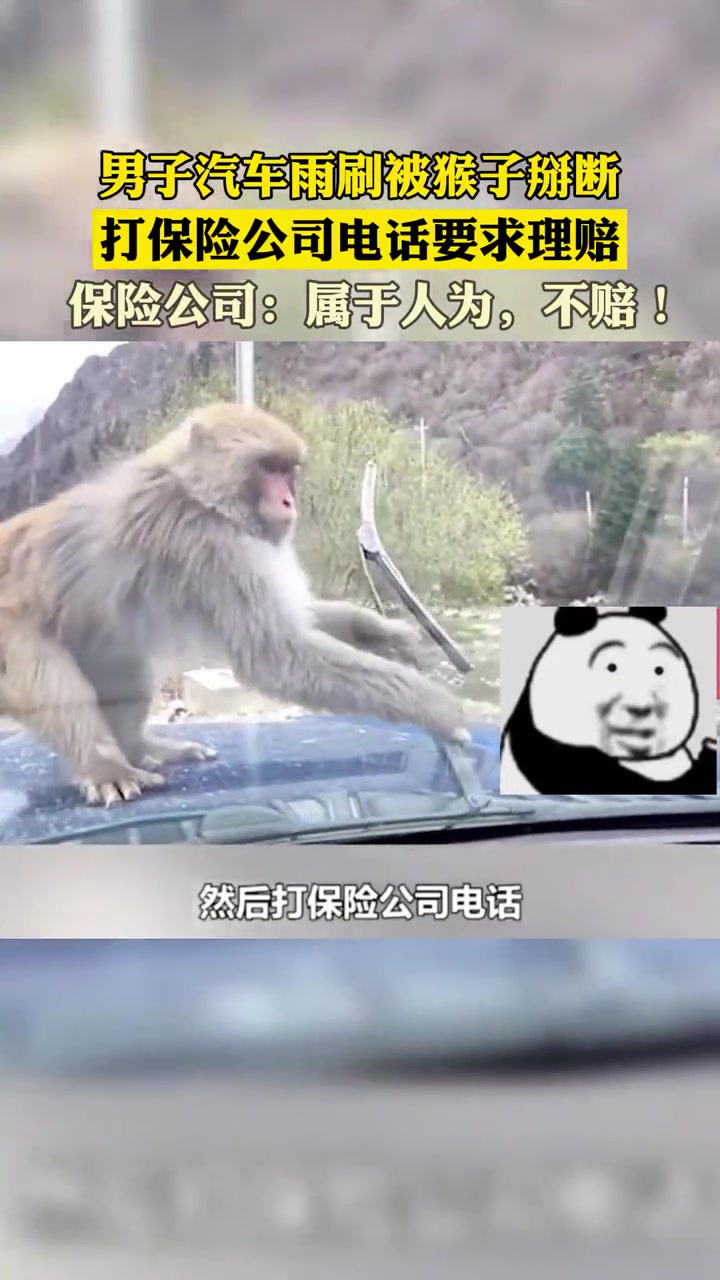 搞啥啊，这哪是人为，明明猴为的