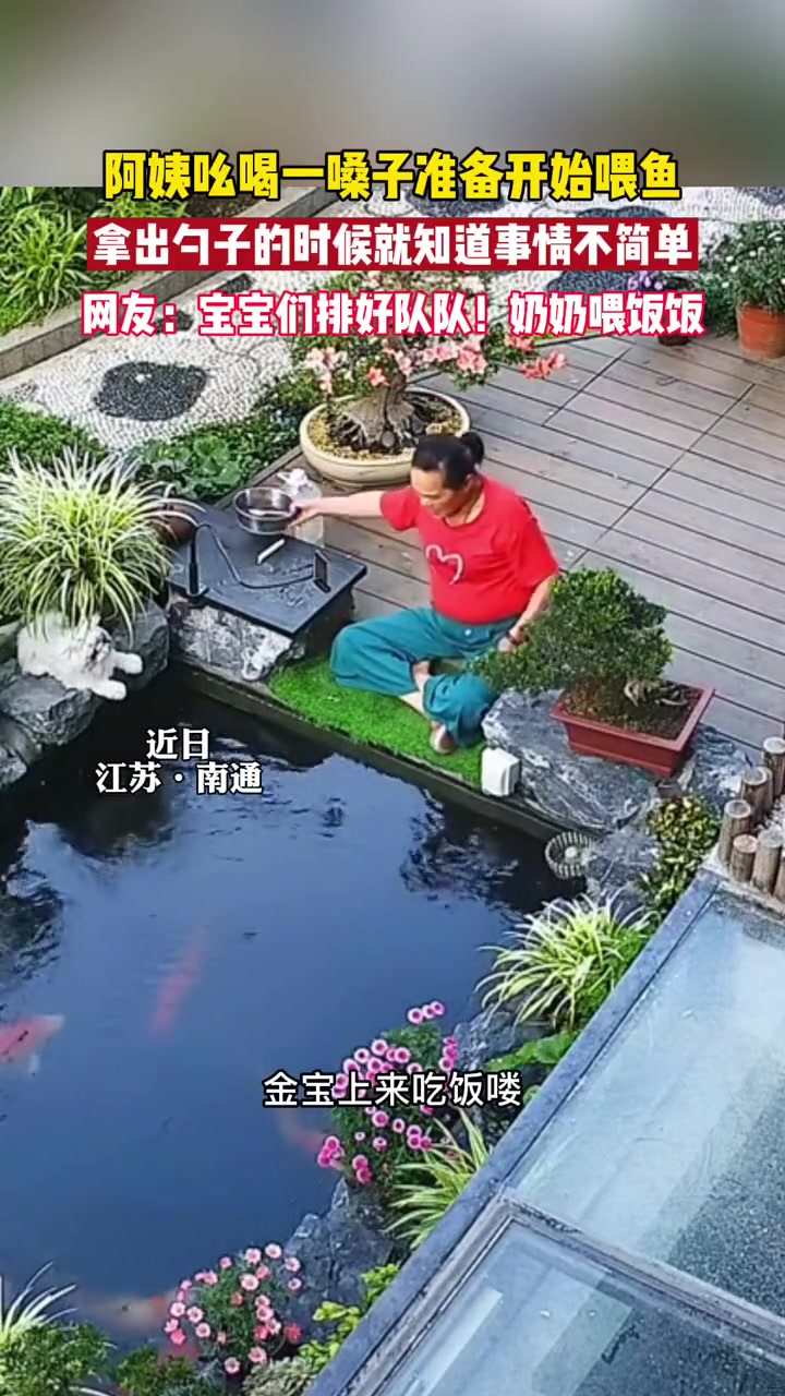 阿姨喂啥都能喂熟的样子