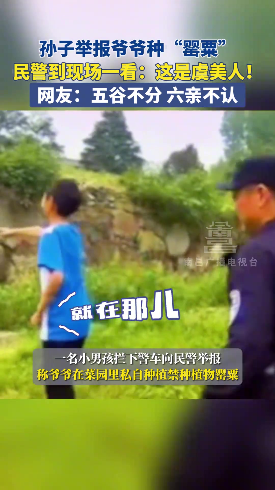五谷都还不分呢，却已经”六亲不认“ ！