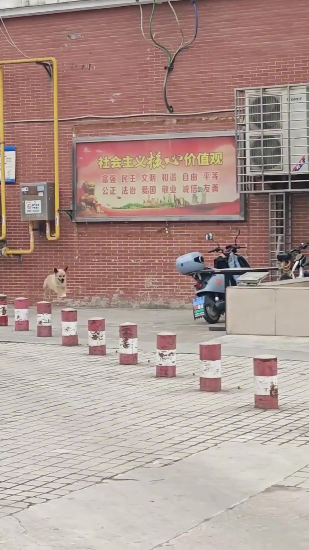 呆萌呆萌的休闲时光 ！