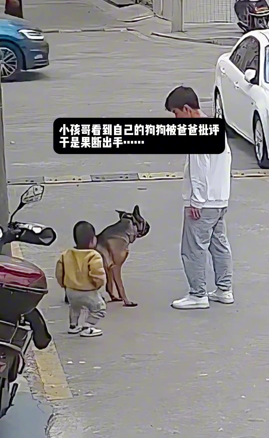 狗:小孩哥救我一命，来拜个把子吧