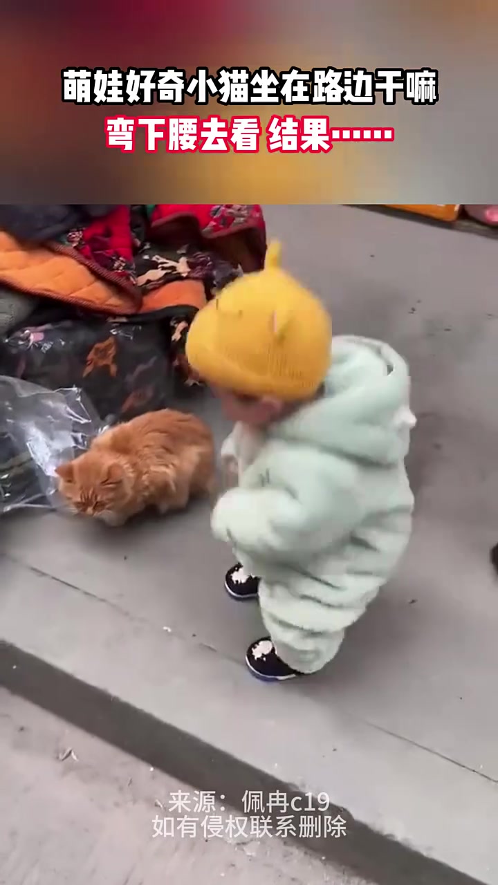 猫：小小年纪，学什么不好，学碰瓷